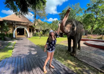 All Day Bali Safari