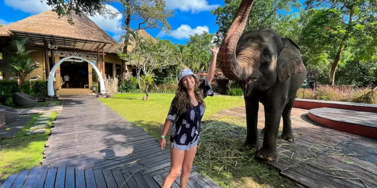 All Day Bali Safari