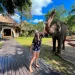 All Day Bali Safari