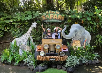All Day Bali Safari